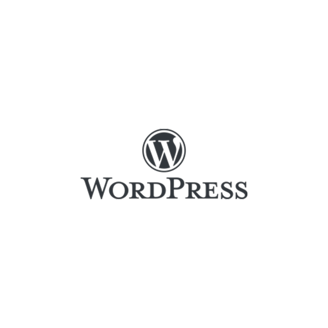 Professional WordPress Development